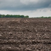 arbeidsmigranten deal de regt.jpeg