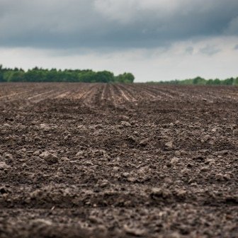 arbeidsmigranten deal de regt.jpeg